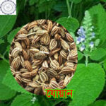 Ajwan pic