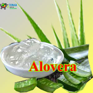 Alovera 3