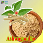 Ashwagondha 3