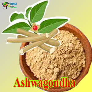 Ashwagondha 3