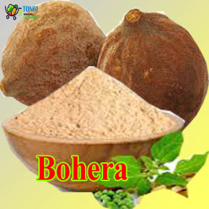 Bohera 3