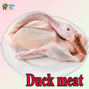 Duck p