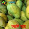 Fojli 1