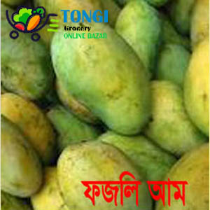 Fojli 1