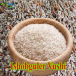 Ishobguler vushi 3