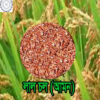 Lal Chal Amon 3