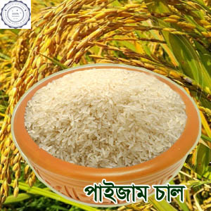 Paijam n
