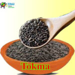 Tokma 3