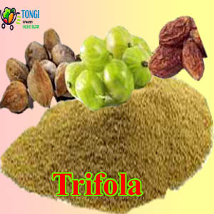 Trifola 3