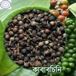 kababchini pic1