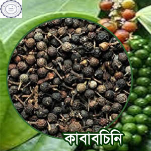kababchini pic1