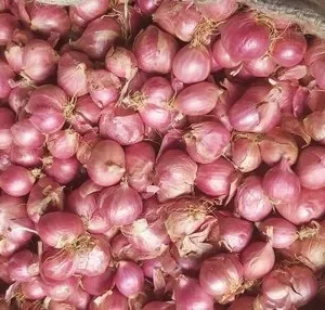 small-onion