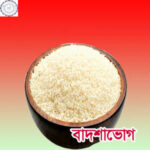 Badsha vog p