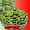 alach 5