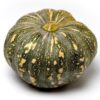 pumpkin-shirajum-vegetables-fresh