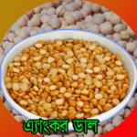 এংকর 2