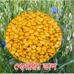 খেসাড়ি
