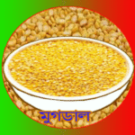মুগডাল